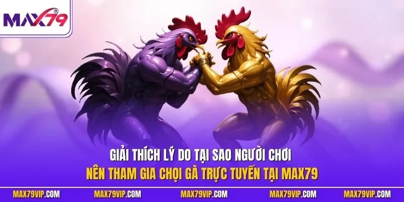 Giải thích lý do tại sao người chơi nên tham gia chọi gà trực tuyến tại MAX79