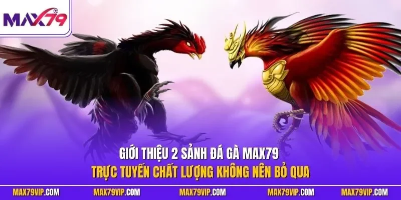 Giới thiệu 2 sảnh đá gà MAX79 trực tuyến chất lượng không nên bỏ qua