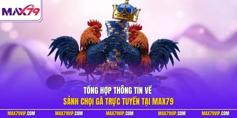 Tổng hợp thông tin về sảnh chọi gà trực tuyến tại MAX79