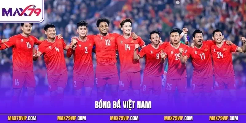 Bóng đá Việt Nam