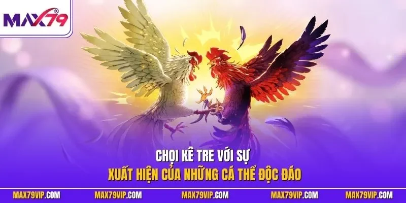 Chọi kê tre với sự xuất hiện của những cá thể độc đáo