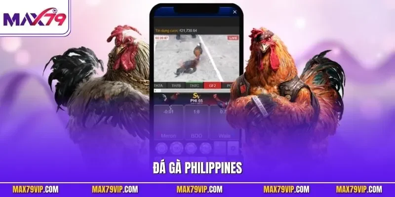 Đá gà Philippines
