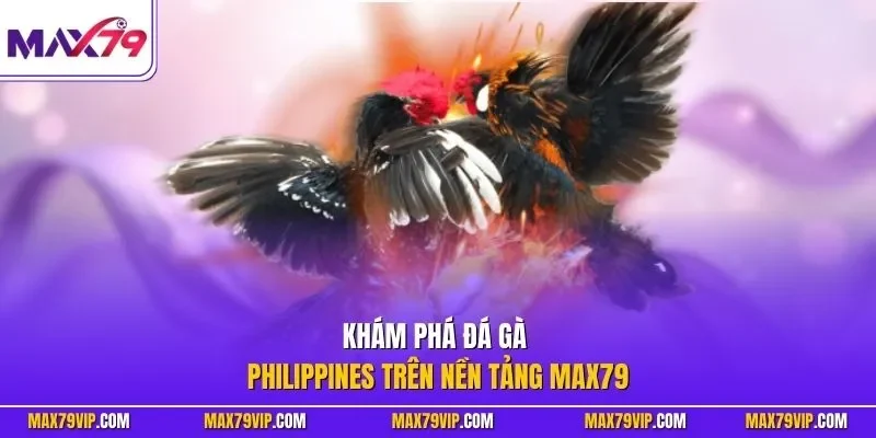 Khám phá đá gà Philippines trên nền tảng MAX79