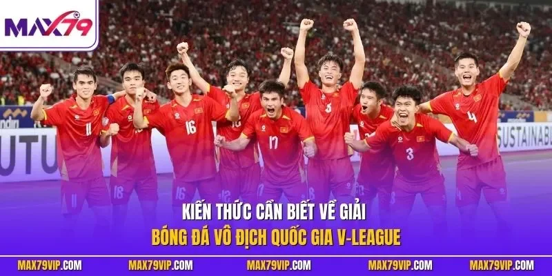 Kiến thức cần biết về giải bóng đá vô địch quốc gia V-League