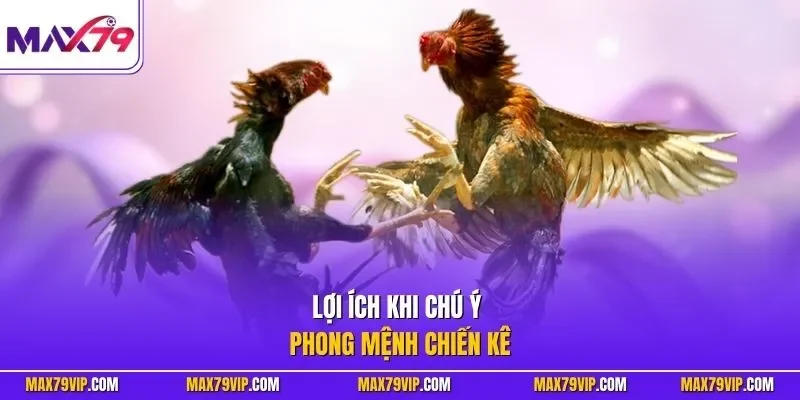 Lợi ích khi chú ý phong mệnh chiến kê