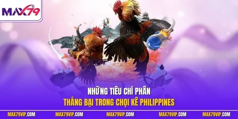 Những tiêu chí phân thắng bại trong chọi kê Philippines
