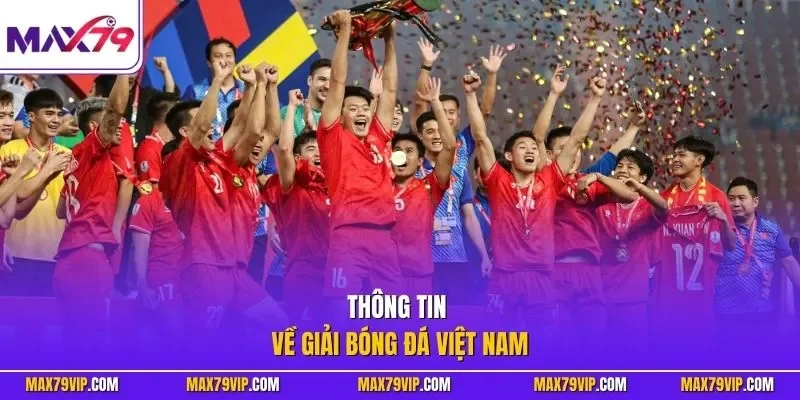 Thông tin về giải bóng đá Việt Nam