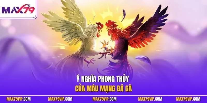 Ý nghĩa phong thủy của màu mạng đá gà